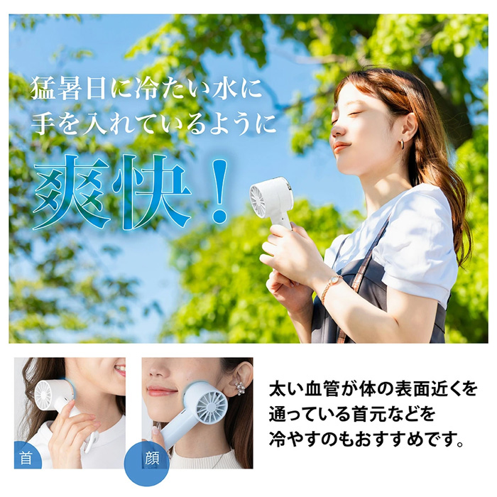 ファン・ペルシー CFM-6020C-250-368 | 軸状ファン | DCファン