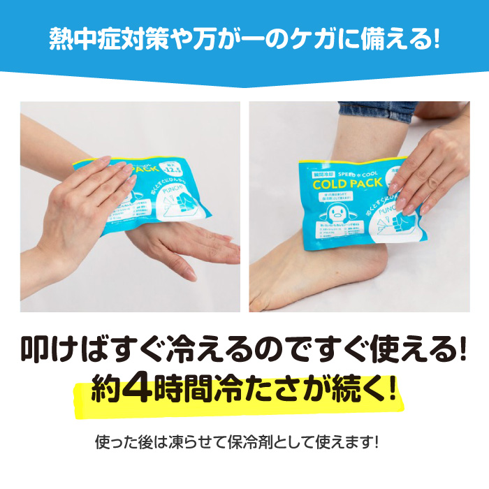 GLOBAL JAPAN（グローバル・ジャパン） アイスパック コールドパック