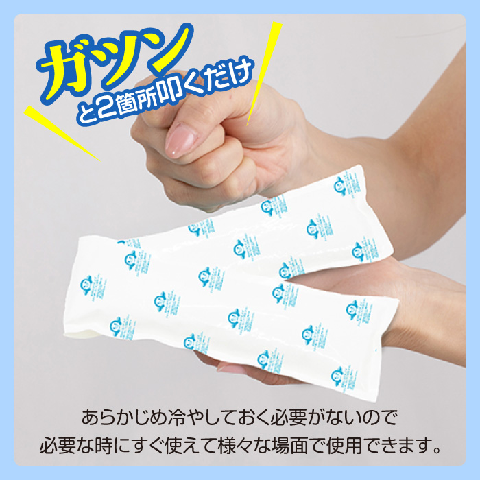 GLOBAL JAPAN（グローバル・ジャパン） アイスパック クールパック 3箱