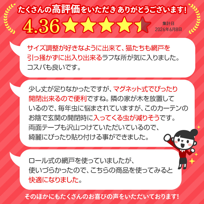 網戸カーテン 玄関用 マグネット式 虫よけネット 蚊 害虫対策 侵入対策 玄関 網戸 通気性 取付簡単 節電 勝手口 レース 【☆60】/風が気持ちいい玄関カーテン 関連画像1