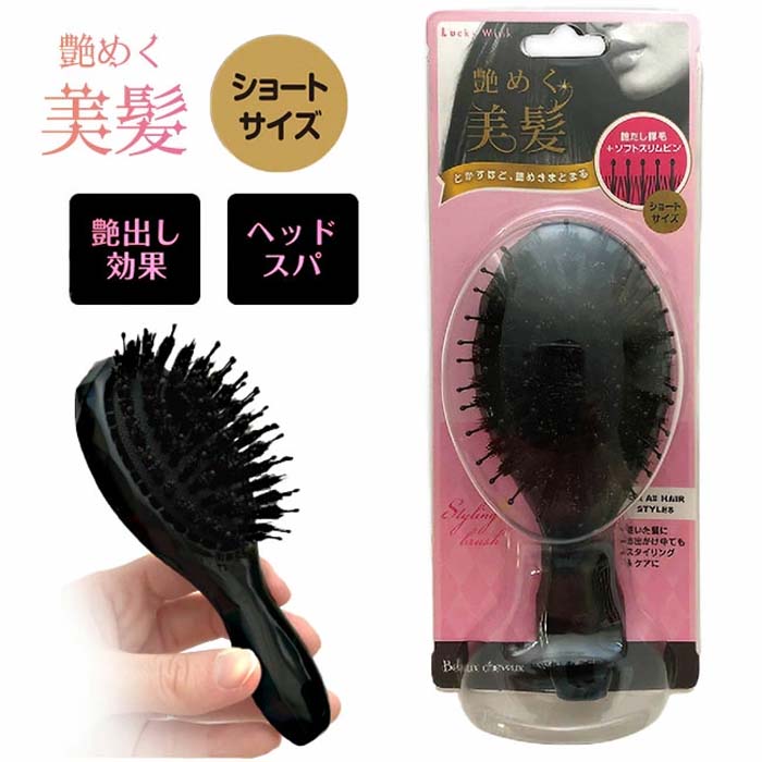 ビューティーワールド（Beauty World） 艶めく美髪ブラシ