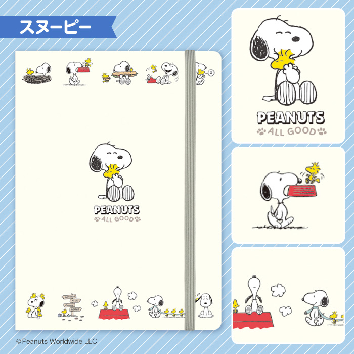 マルチケース 診察券ケース カードケース マイナンバー お薬手帳 通院