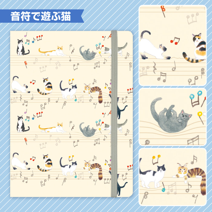 マルチケース 診察券ケース カードケース マイナンバー お薬手帳 通院