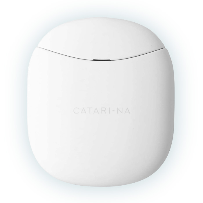 美顔器 EMS かっさ カッサ 電動かっさ emsかっさプレート かっさ
