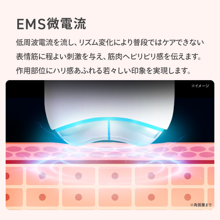 美顔器 EMS かっさ カッサ 電動かっさ emsかっさプレート かっさ