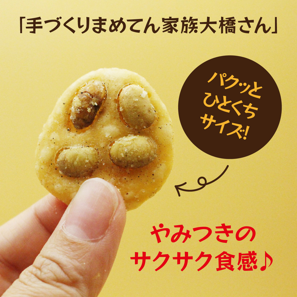 送料無料 新潟産大豆 新潟名物 パリパリの揚げせん 手作り まめてん