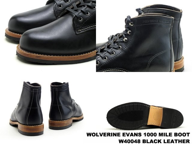 wolverine-400483.jpg