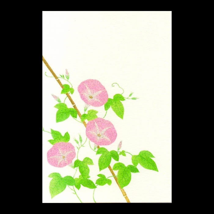 花きらら 朝顔