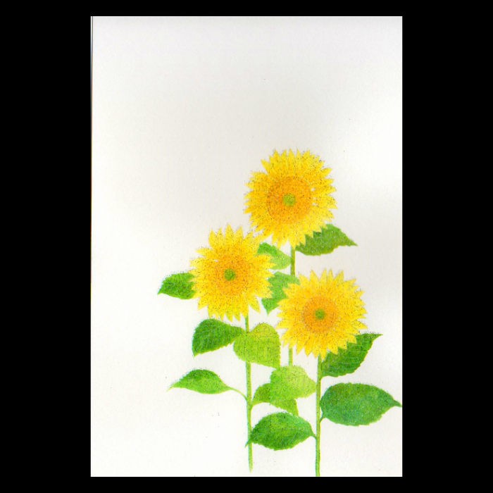 花きらら ひまわり