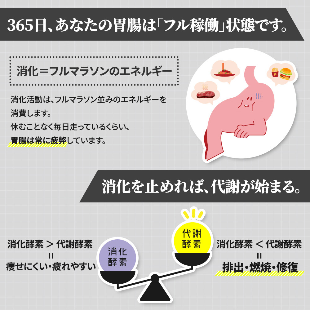 365日、あなたの胃腸は「フル稼働」状態です