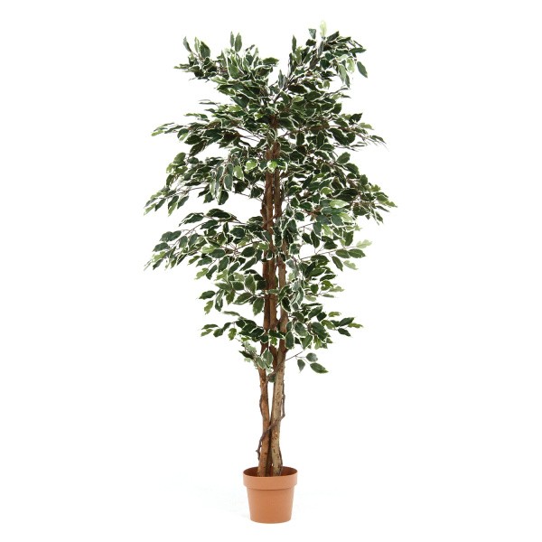 人工 観葉植物 高さ170cm 大型 フェイクグリーン 造花 フィカス 室内