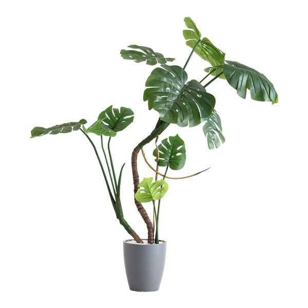 人工 観葉植物 モンステラ 高さ150cm Mサイズ フェイクグリーン 観賞用 造花 植物 室内 ガーデニング ガーデン グリーン リビング 玄関 インテリア 送料無料の画像
