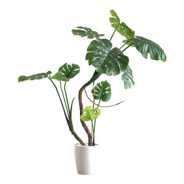 人工 観葉植物 モンステラ 高さ150cm Mサイズ フェイクグリーン 観賞用 造花 植物 室内 ガーデニング ガーデン グリーン リビング 玄関 インテリア 送料無料の画像