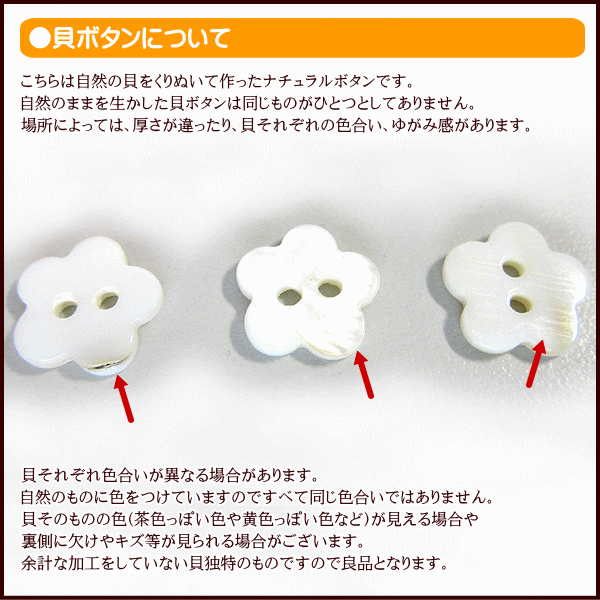 貝ボタン