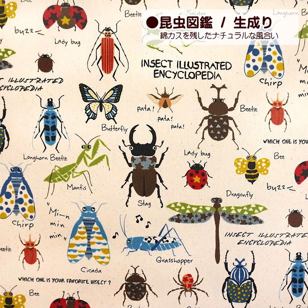 生地