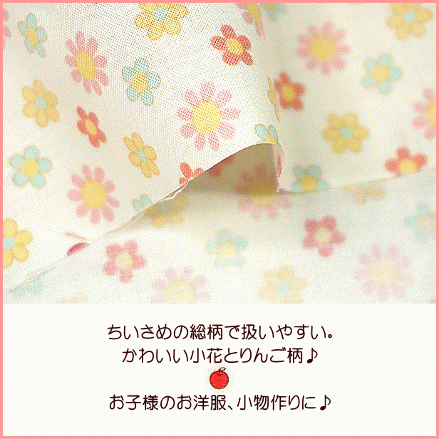 スケア生地