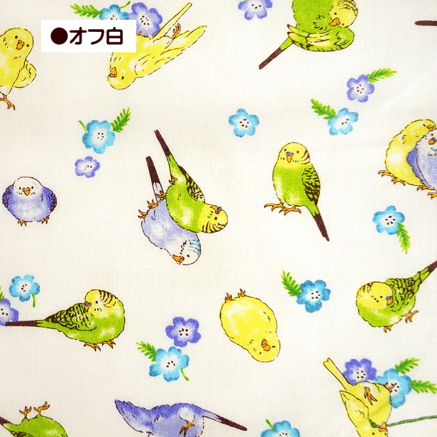 シーチング 生地 インコとお花 総柄 インコ 小花 小鳥 バード 綿100