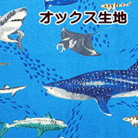 生地