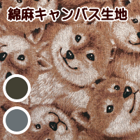 生地