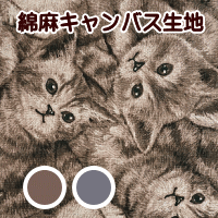 生地