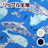 生地
