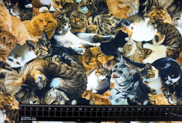 インクジェット プリント オックス 生地 Cats and Dogs 犬柄 猫柄 密集