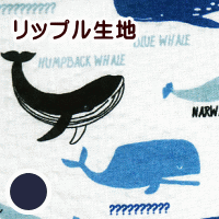 生地