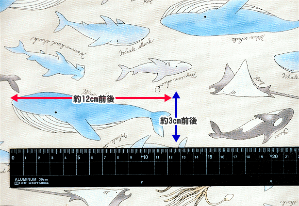 オックス生地