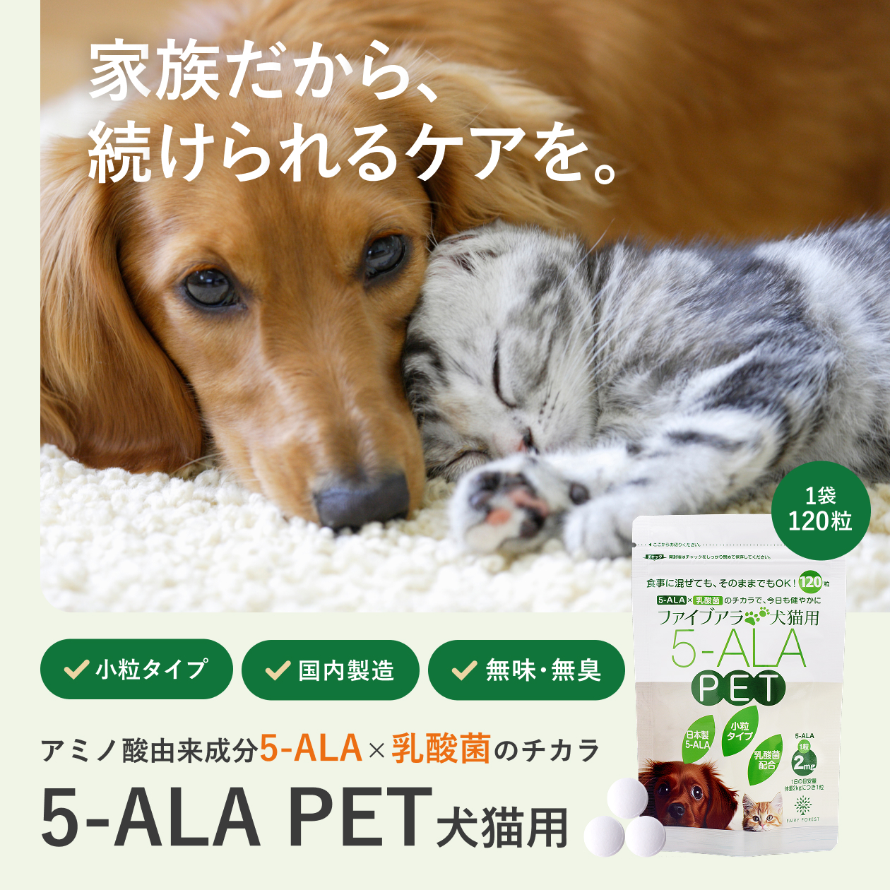 img-lp_01.jpg