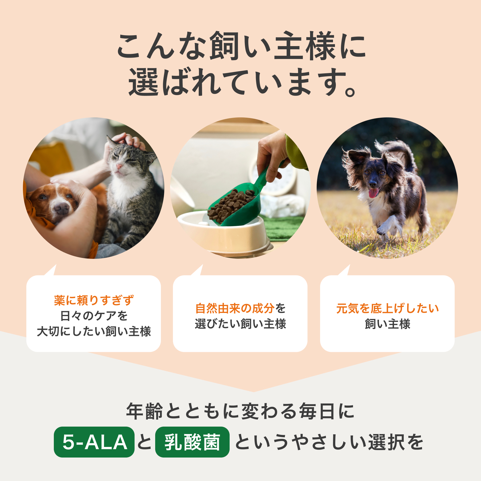 生命のチカラ「5-ALA」配合】犬 猫 5ALA サプリ 120粒 乳酸菌 日本製