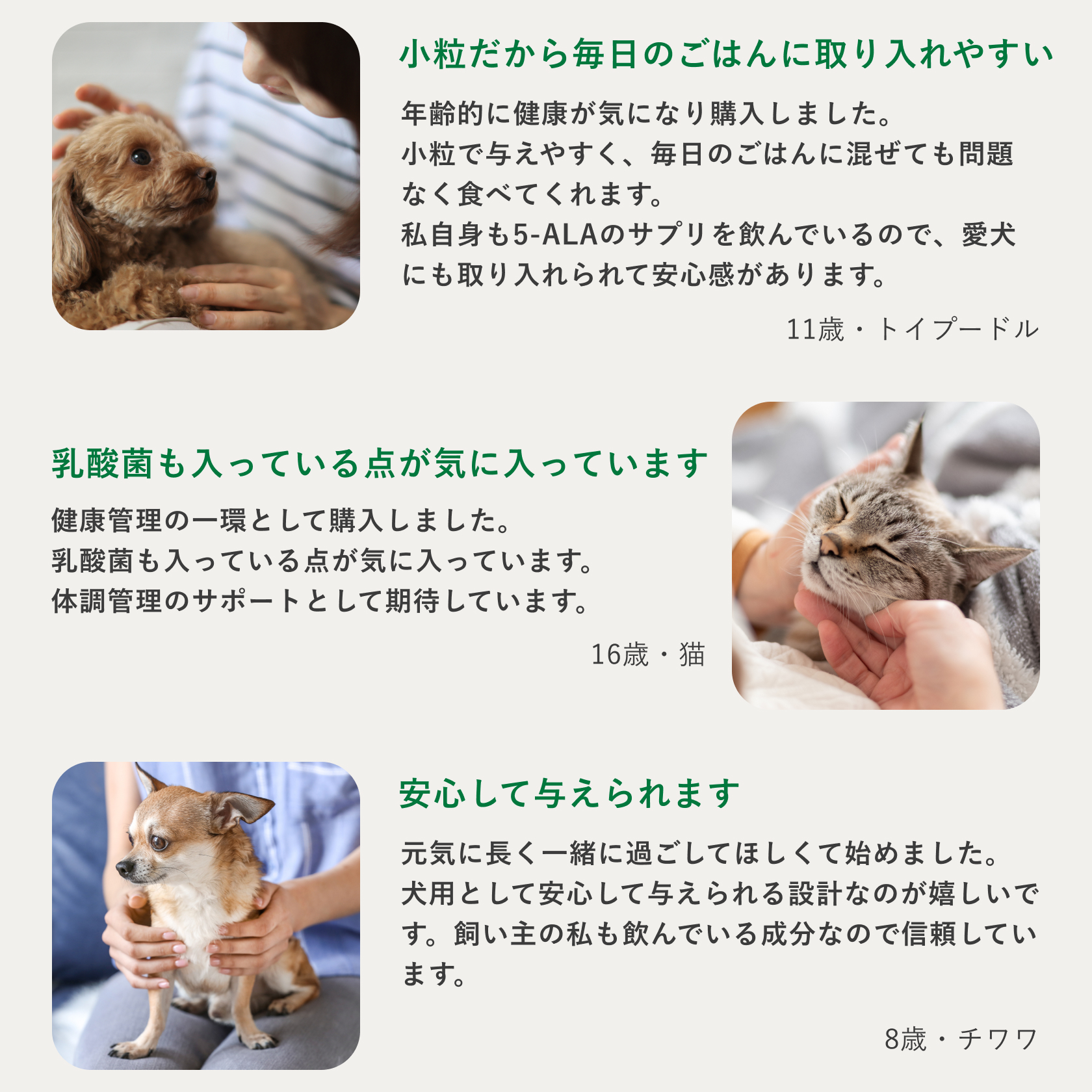 生命のチカラ「5-ALA」配合】犬 猫 5ALA サプリ 120粒 乳酸菌 日本製