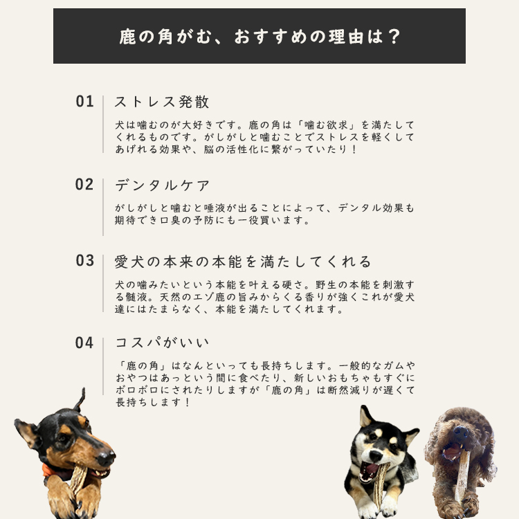 【お試し初回購入限定｜小型犬〜中型犬 11cm〜13cm ずっしり！40g〜50g（半割り）】鹿の角 犬のおもちゃ 北海道 国産 無添加 エゾ鹿の角 犬｜faith-roots｜05