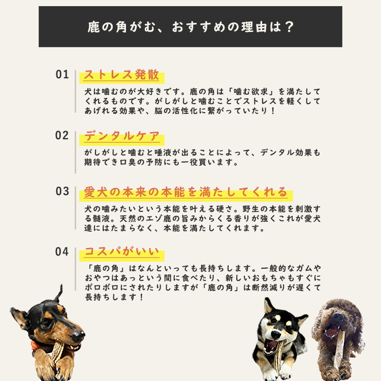 鹿の角の商品一覧 通販 - Yahoo!ショッピング