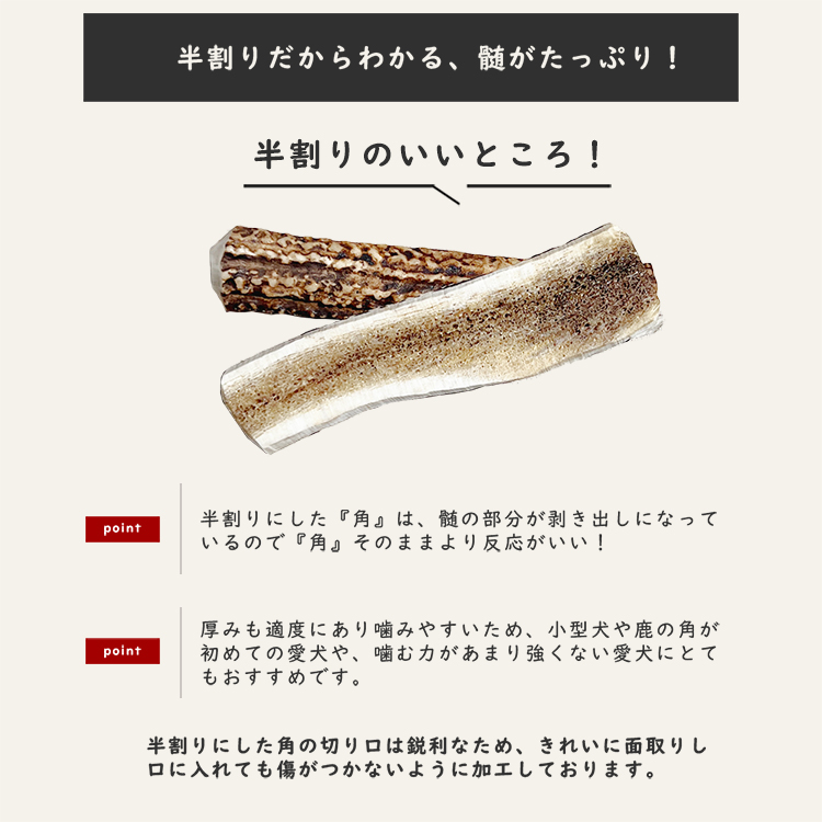 鹿の角のおすすめ人気商品一覧 通販 - Yahoo!ショッピング