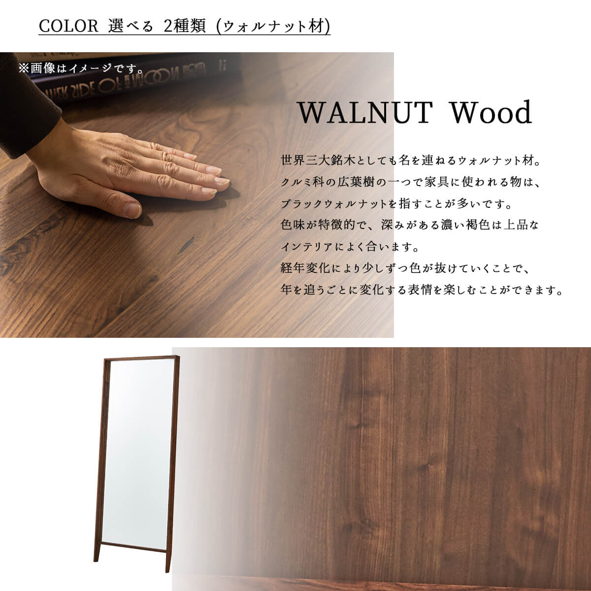 ミラー 関家具 カンナ 大きい セレクトショップ ワイド ワイド