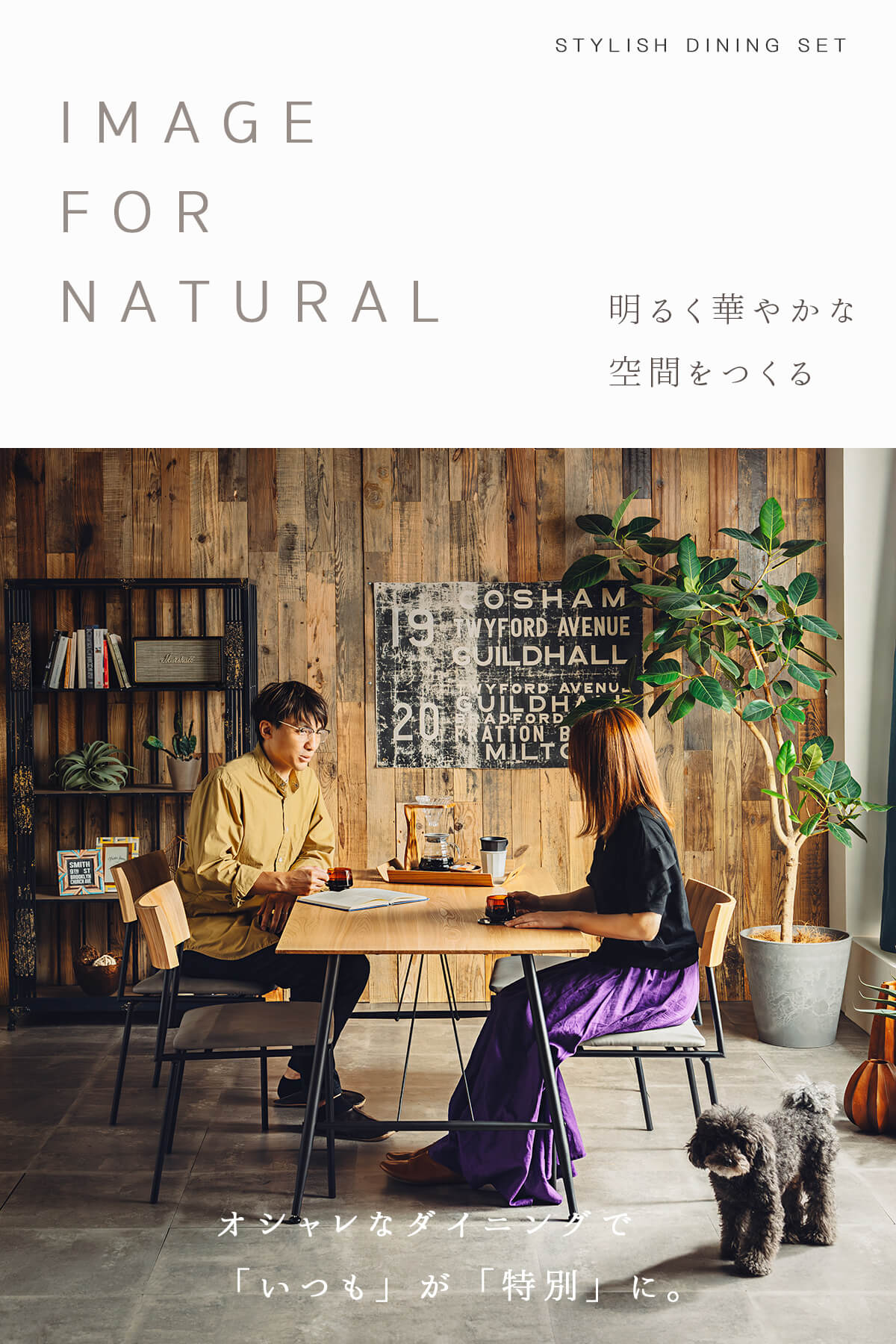 『メーカー不明』 ダイニングチェア 食卓チェア チェア 椅子 RWcha14 楽天市場】【5％OFFクーポン配布】 ダイニングチェア 2脚セット