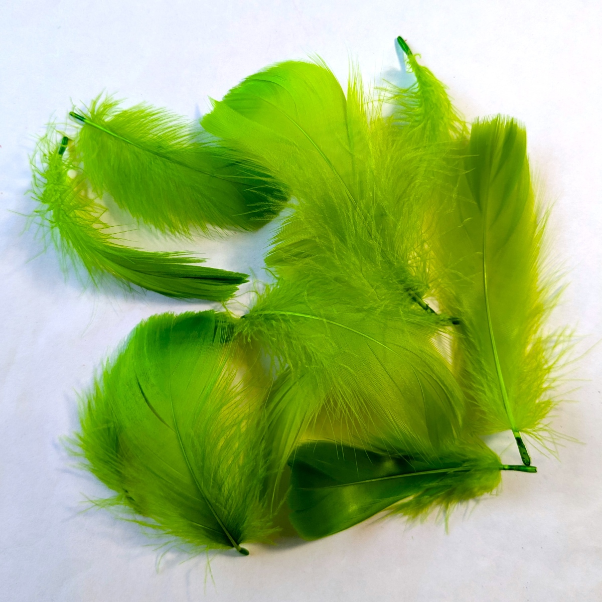 羽 パーツ コキール(10枚) 1枚3〜10cm パーツ根 フェザー 羽 パーツ コキール(10枚) 1枚3〜10cm パーツ根 フェザー