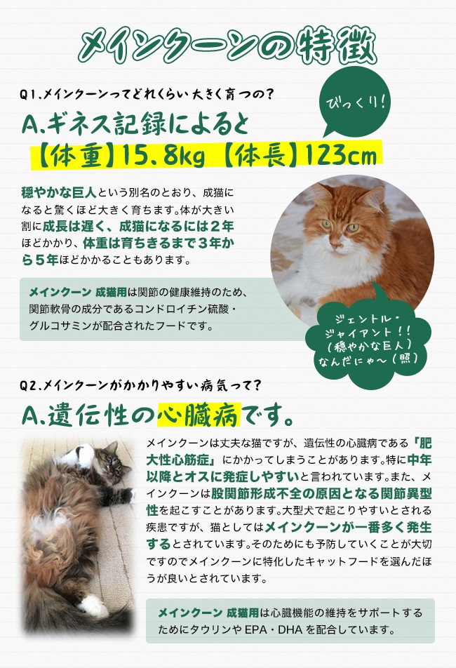 ペットファミリー アニマルボンズ - 「違い」をケアする猫種別フード（キャットフード）｜Yahoo!ショッピング