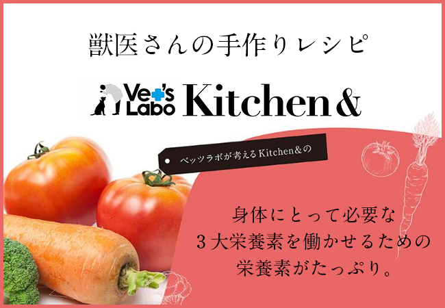 ジャパンペット Kitchen & Deli サーモンとチーズのクリームリゾット 80g（31200174）
