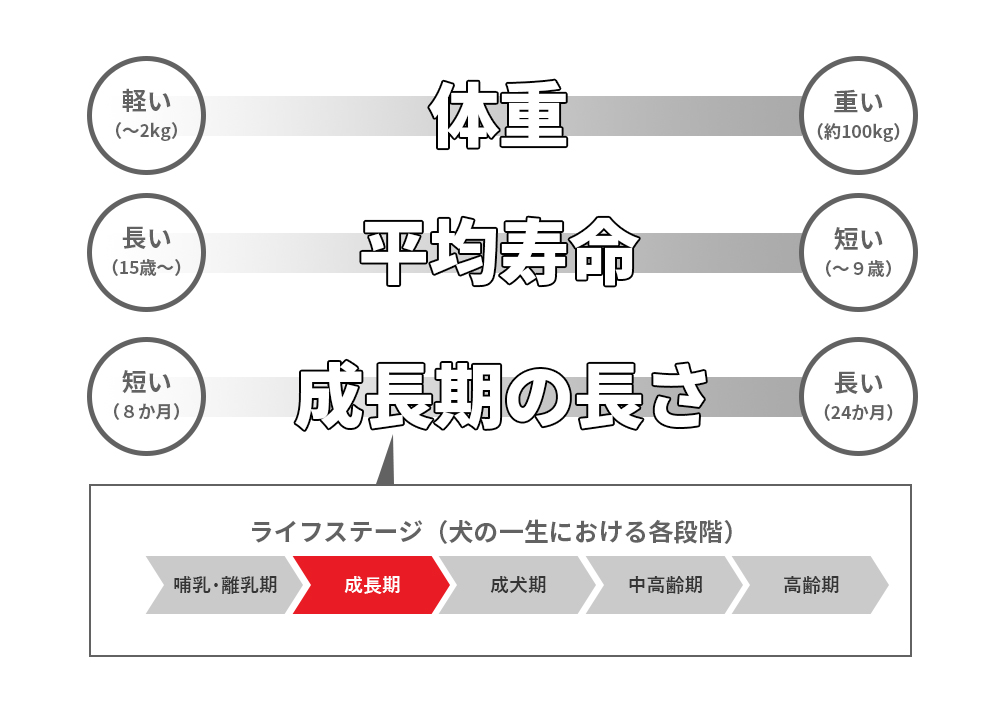 ペットファミリー アニマルボンズ - サイズ別（ドッグフード）｜Yahoo