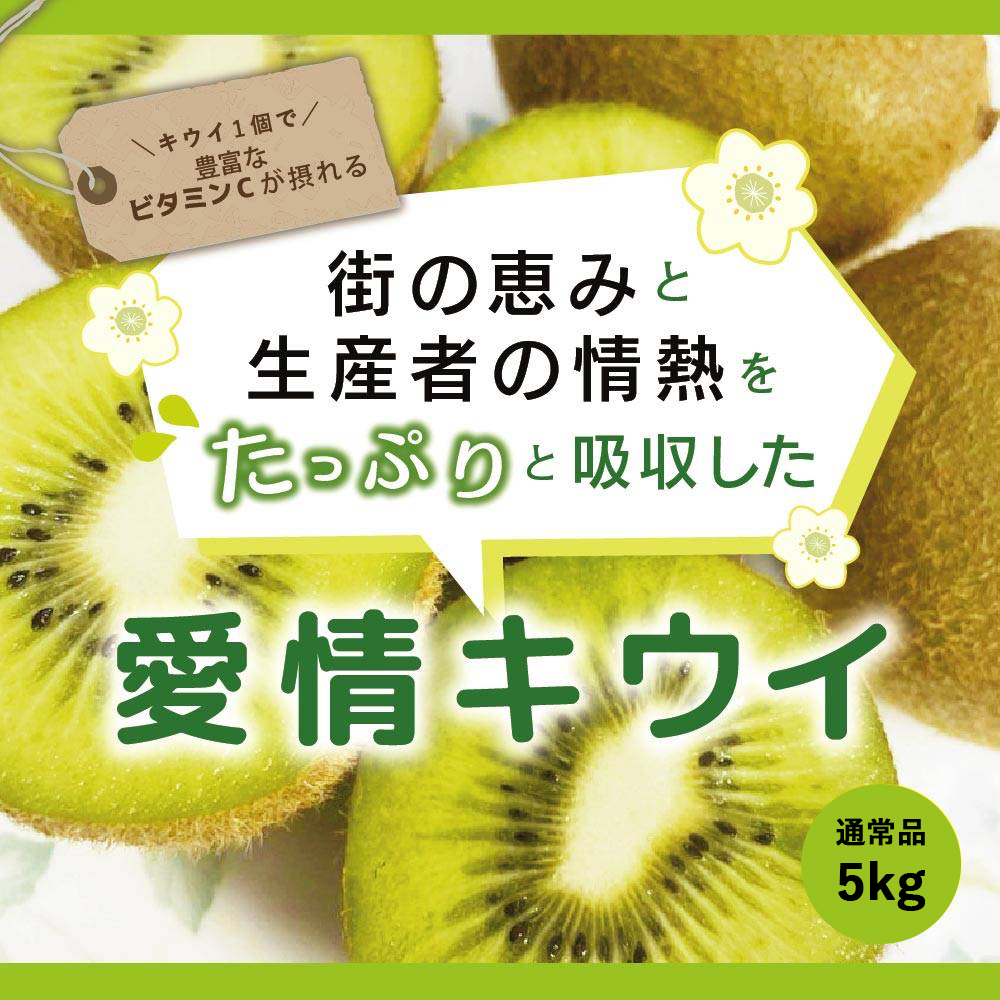 キウイ フルーツ 通常品 5kg 送料無料 国産 ギフト 果物 くだもの 家庭