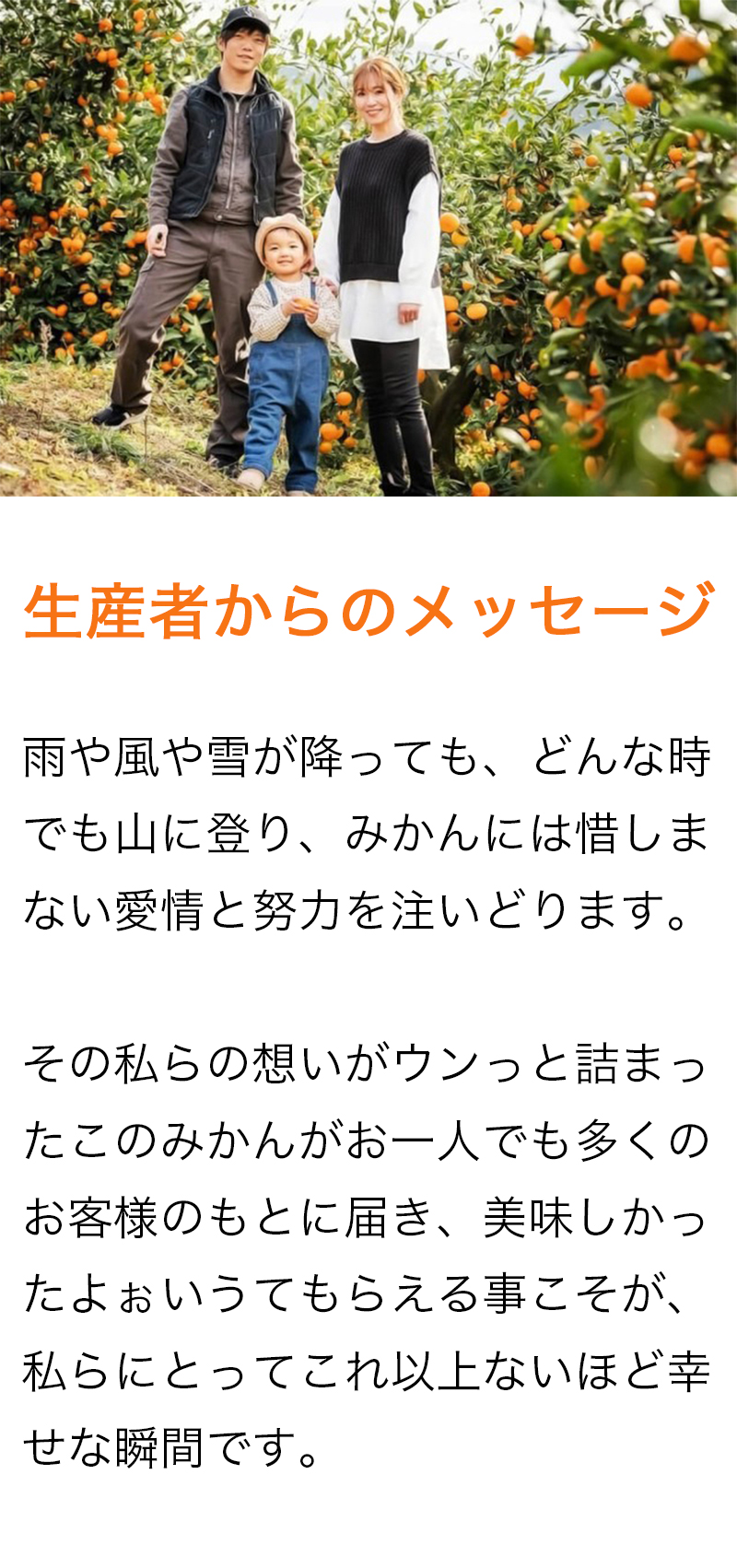 みかん 南柑20号 【20組様限定！早割10%割クーポン！】 【残14個