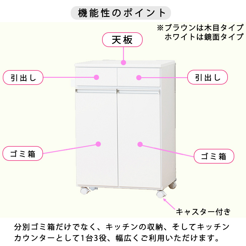 キッチンカウンター ゴミ箱 収納 2分別 完成品 ラック ふた付きペール