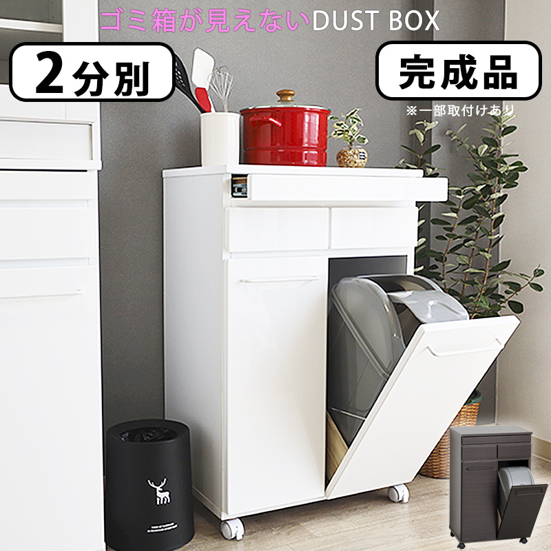 キッチンカウンター ゴミ箱 収納 完成品 2分別 ダストボックス 19L 2個
