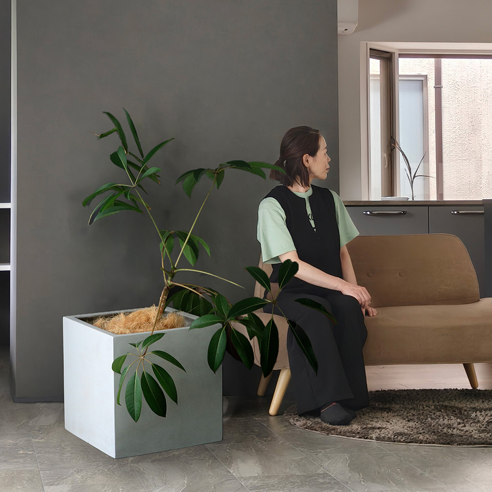 プランター 植木鉢 大型 正方形 大 幅 50 おしゃれ 北欧 スクエア