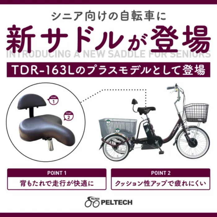 PELTECH 【 100%完成納品 / 防犯登録付き 即乗りOK 】 電動