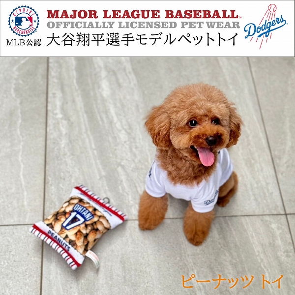 ドジャース公式　ワイン　大谷翔平 祝50-50!! MLB クラブ・シリーズ ドジャース・ワイン入り】当店
