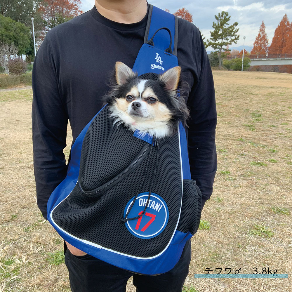 FANTASY WORLD MLB公式 ロサンゼルス ドジャース 大谷翔平選手