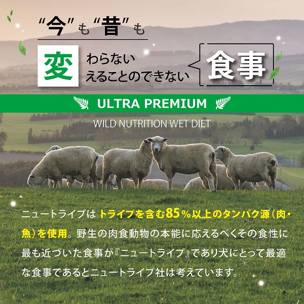 サーモン＆グリーントライプ 185g 全年齢用 ドッグフード NUTRIPE PURE