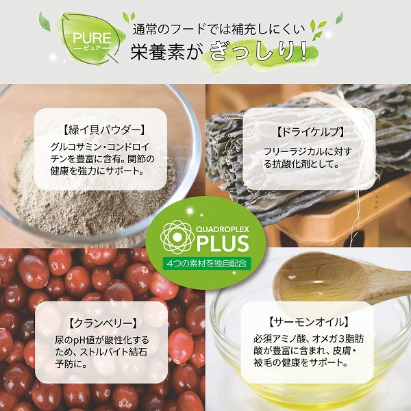 サーモン＆グリーントライプ 185g 全年齢用 ドッグフード NUTRIPE PURE